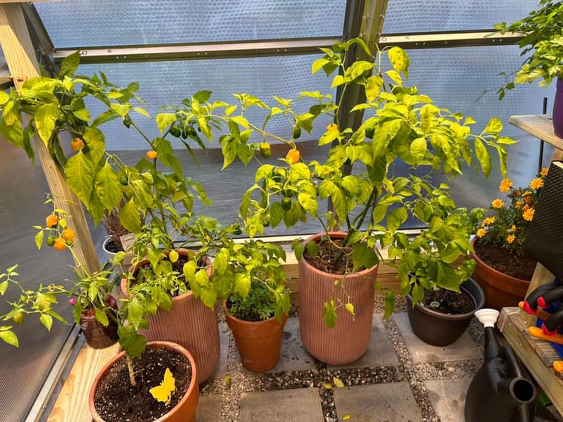 Extend Your Growing Season With Protection