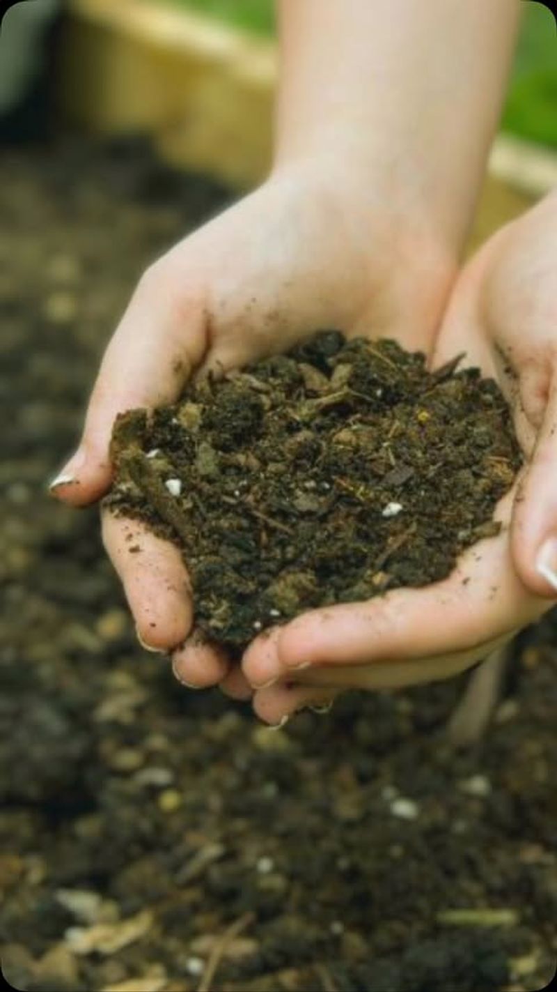 Ignoring Soil Testing