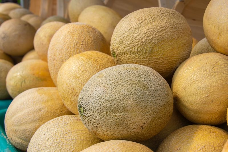 Cantaloupe