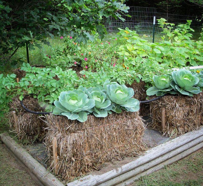 Straw Bales