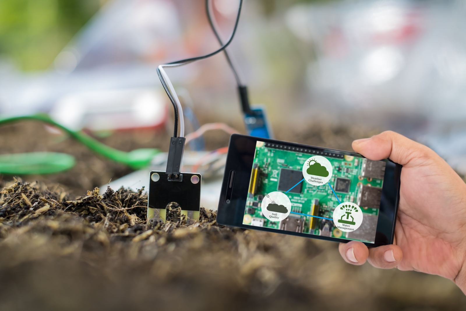 Ways Boston Gardeners Could Use Smart Soil Sensors In Raised Beds To Help Boost Food Production