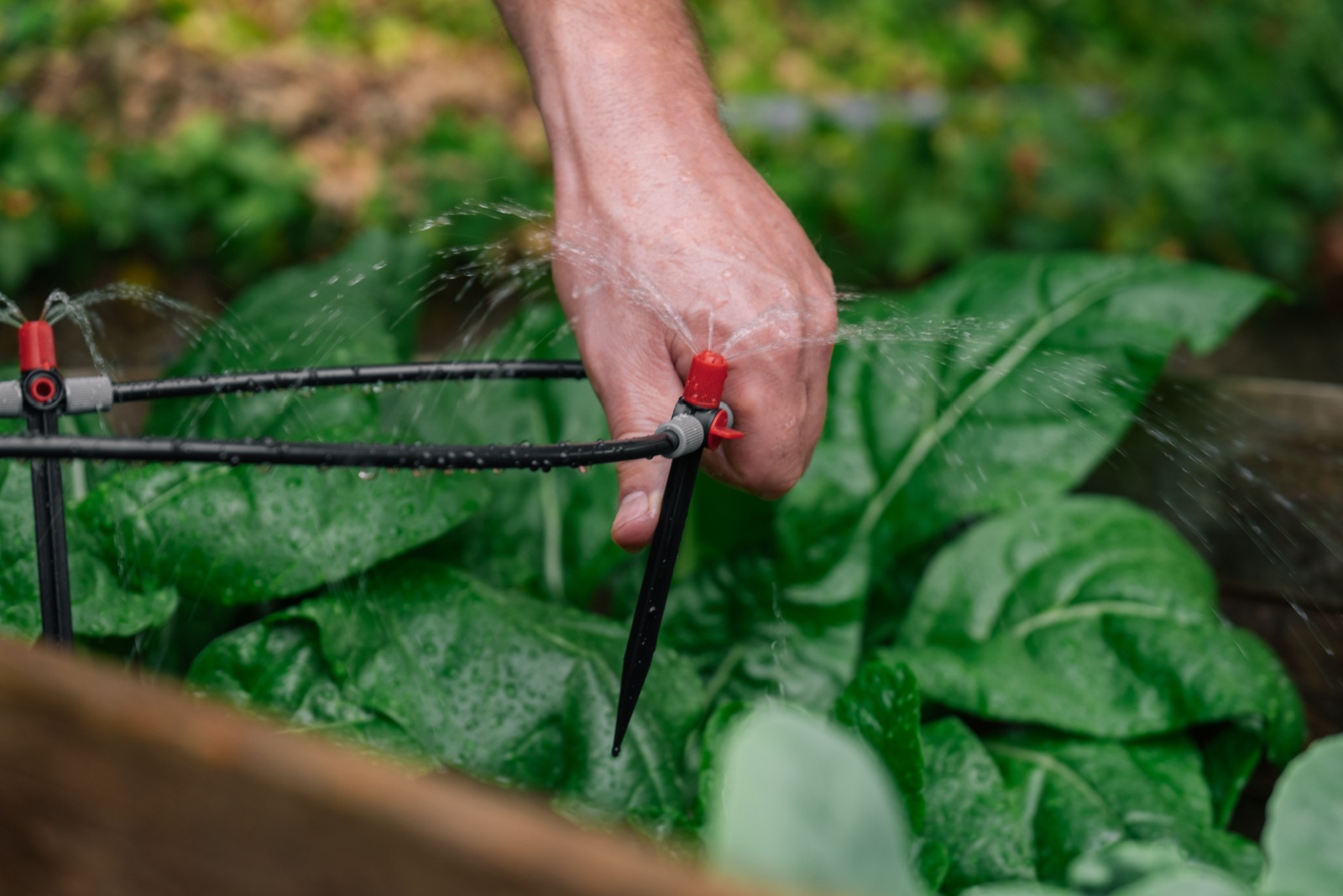 Ways Kansas Gardeners Could Use Smart Grow Signals To Help Keep Soil Conditions Just Right