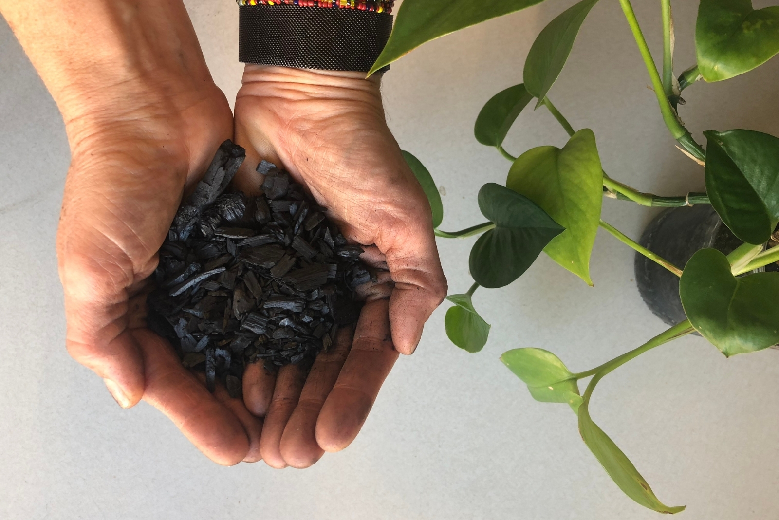 Ways Leaf Biochar May Help Kansas City Gardeners Improve Their Beds