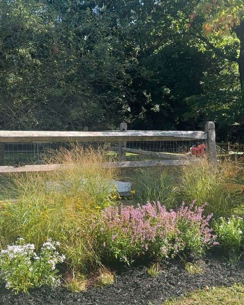 Native Shrub Borders Create Natural Sanctuaries