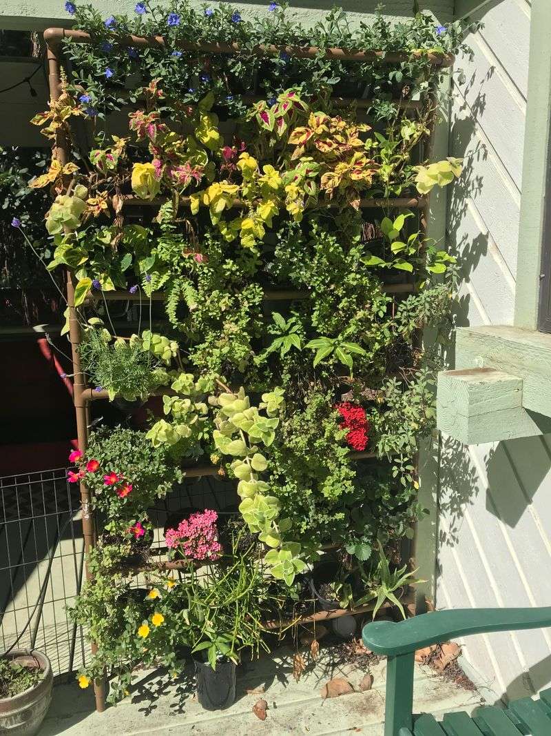 Vertical Garden Wall Displays