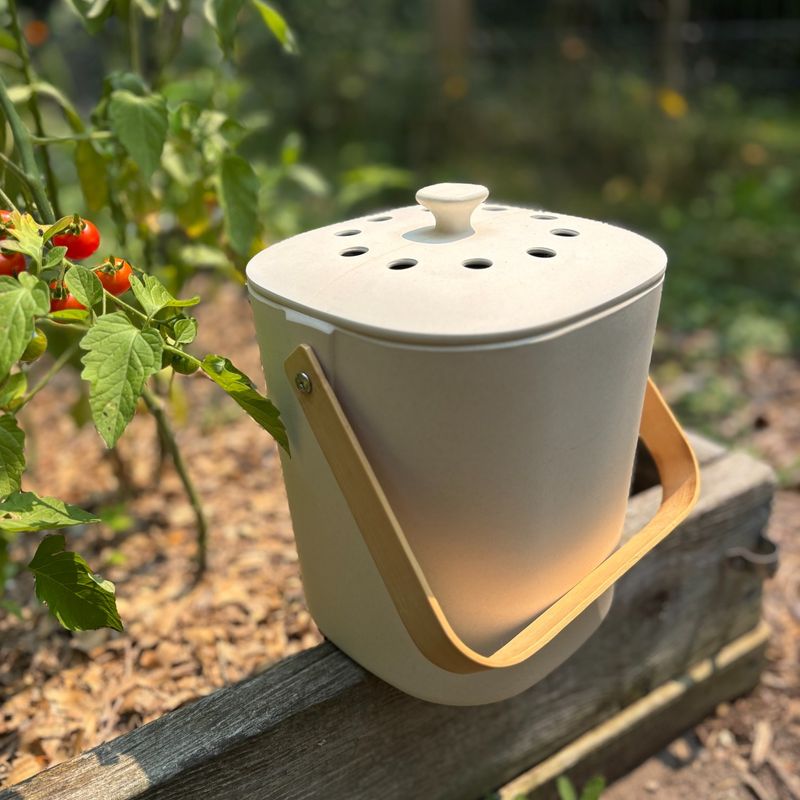 Start Composting Kitchen Scraps