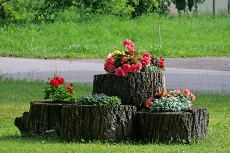 tree stumps as planters for flowers (featured image)