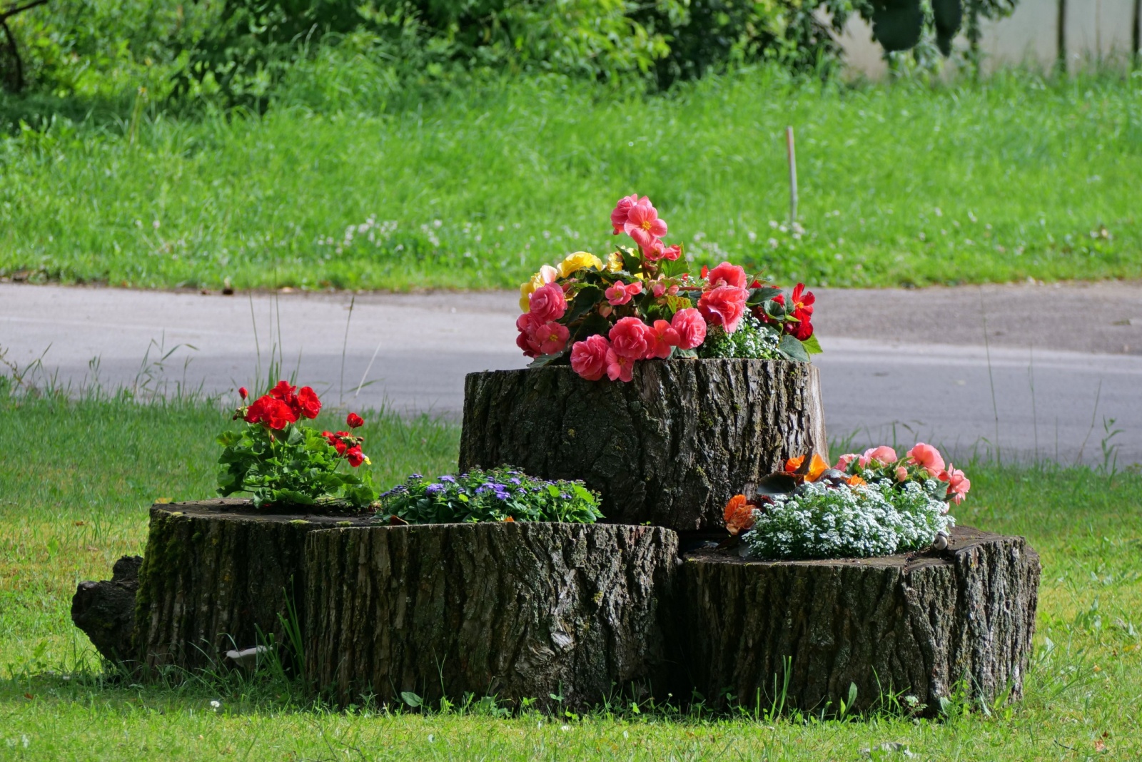 Ways To Repurpose An Old Tree Stump In Your Vermont Backyard