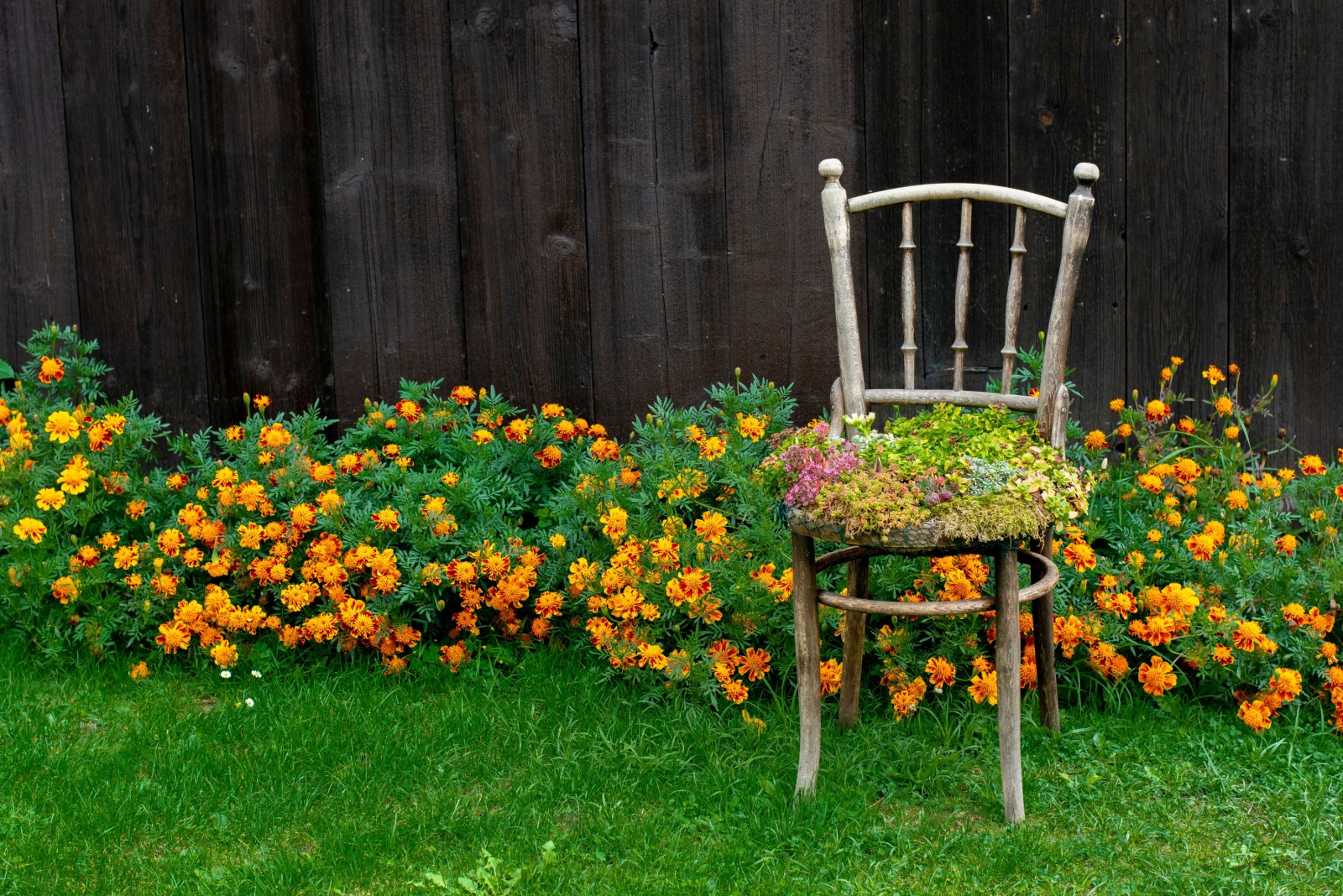 Ways To Repurpose Old Patio Furniture In California Backyards
