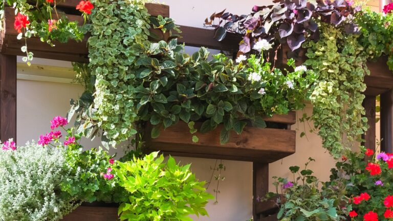 vertical wall garden