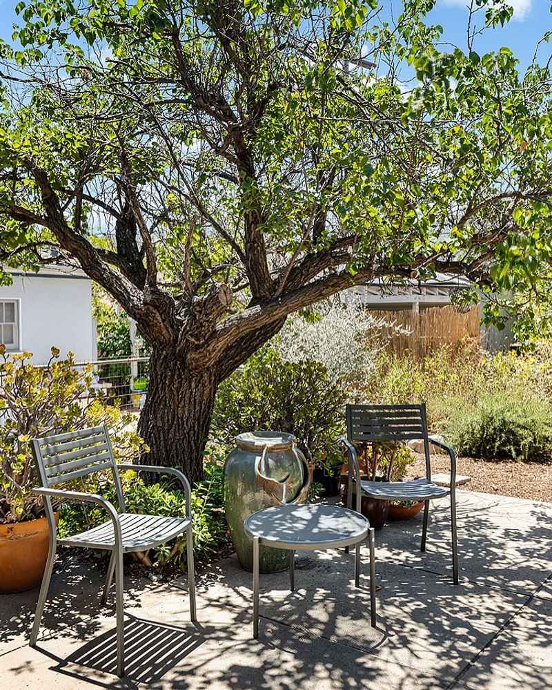Shade-Dappled Desk Nooks