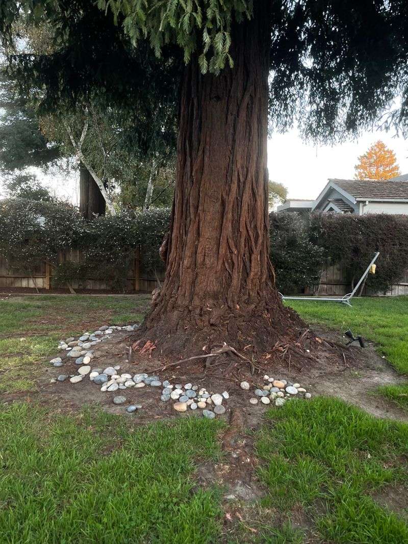 Violates Tree Biology