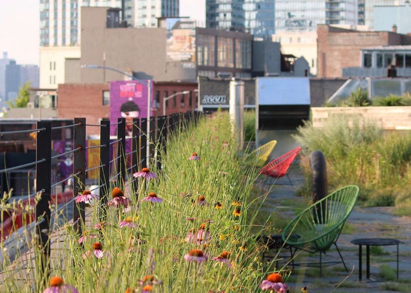 Pollinator-Friendly Additions