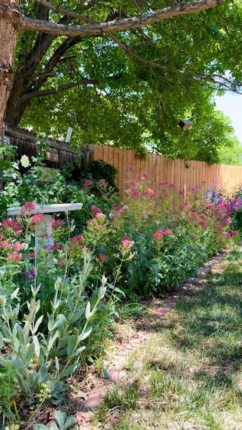 Zone-Specific Watering