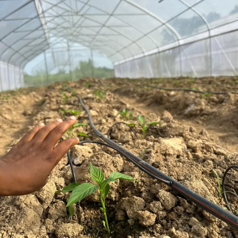 Smart Irrigation Systems