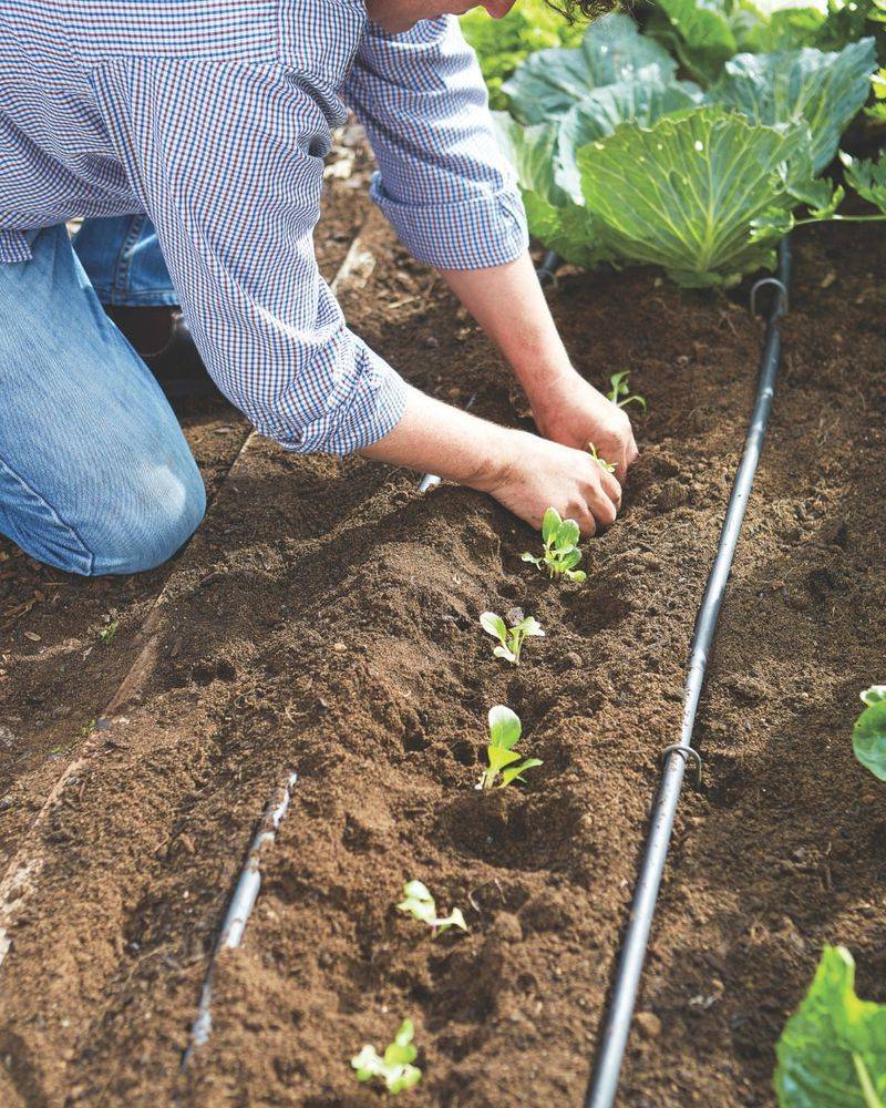 Soil Moisture Retention