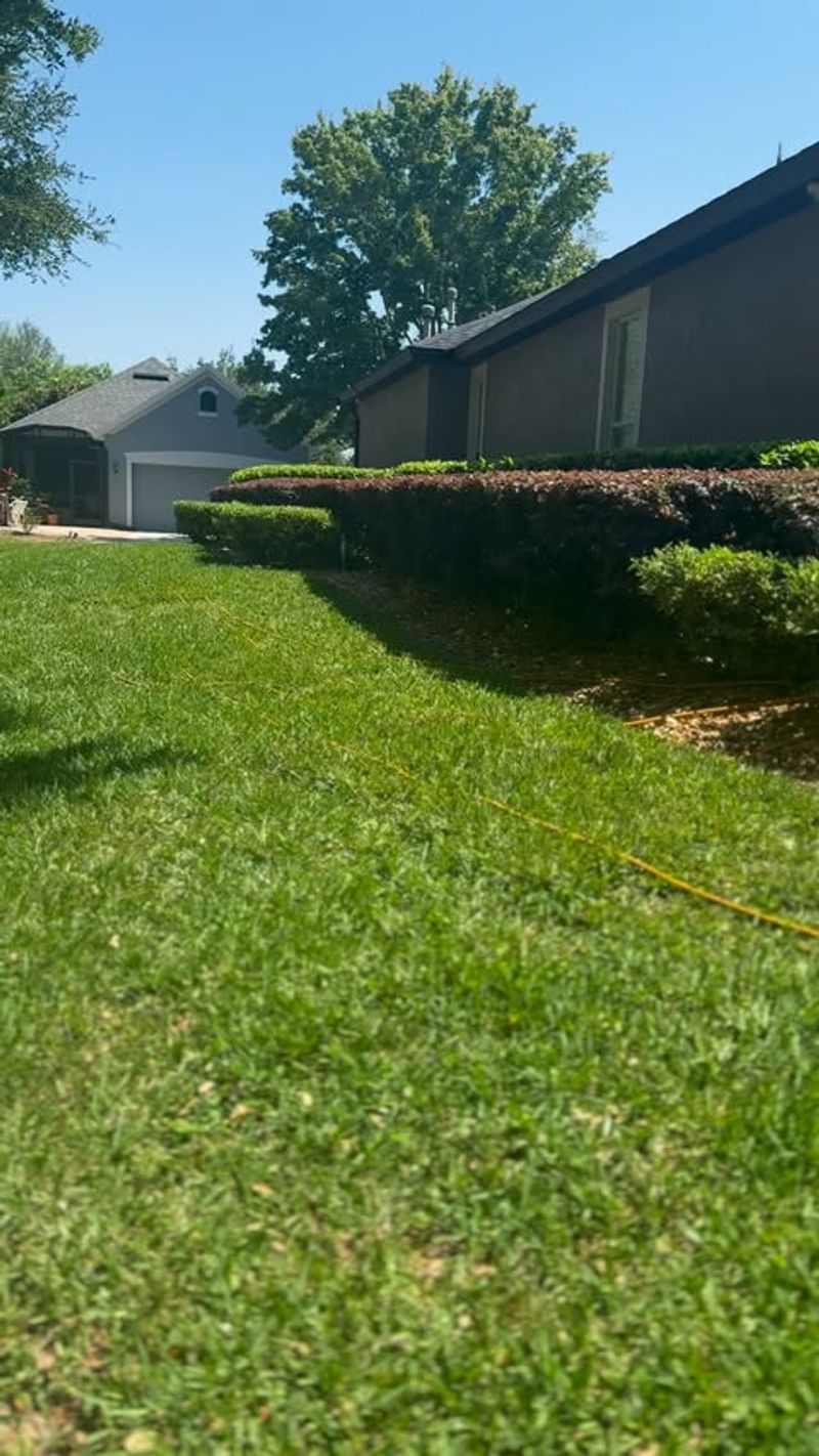 Irrigation System Neglect