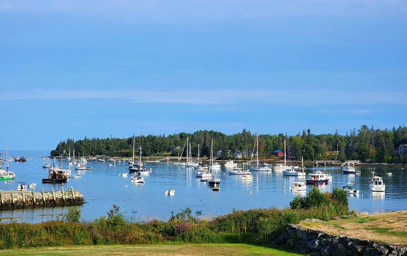 Tranquil Tenants Harbor