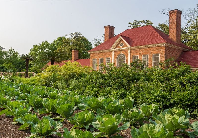 Mount Vernon's Apple & Flower Fair