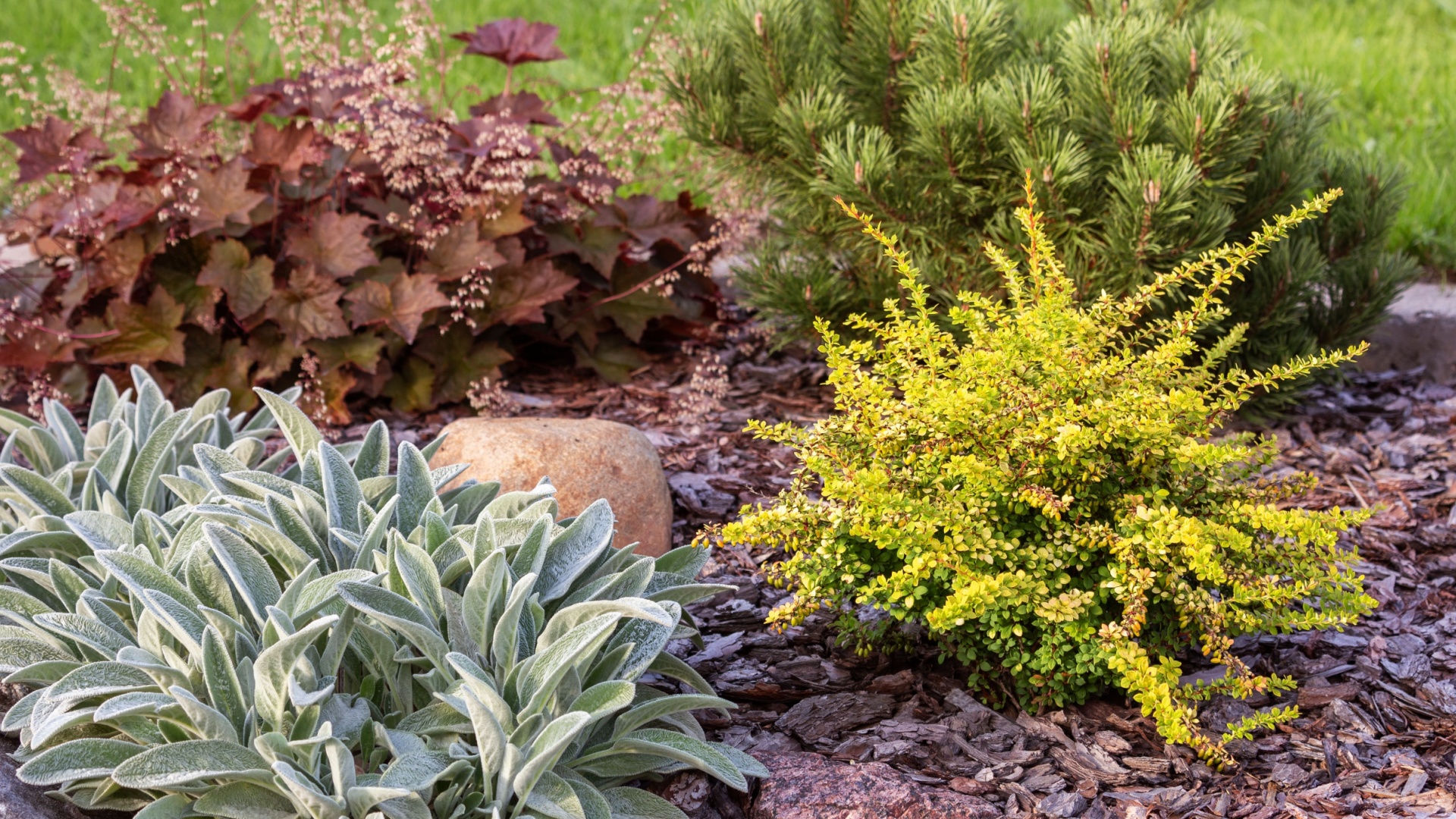 august garden