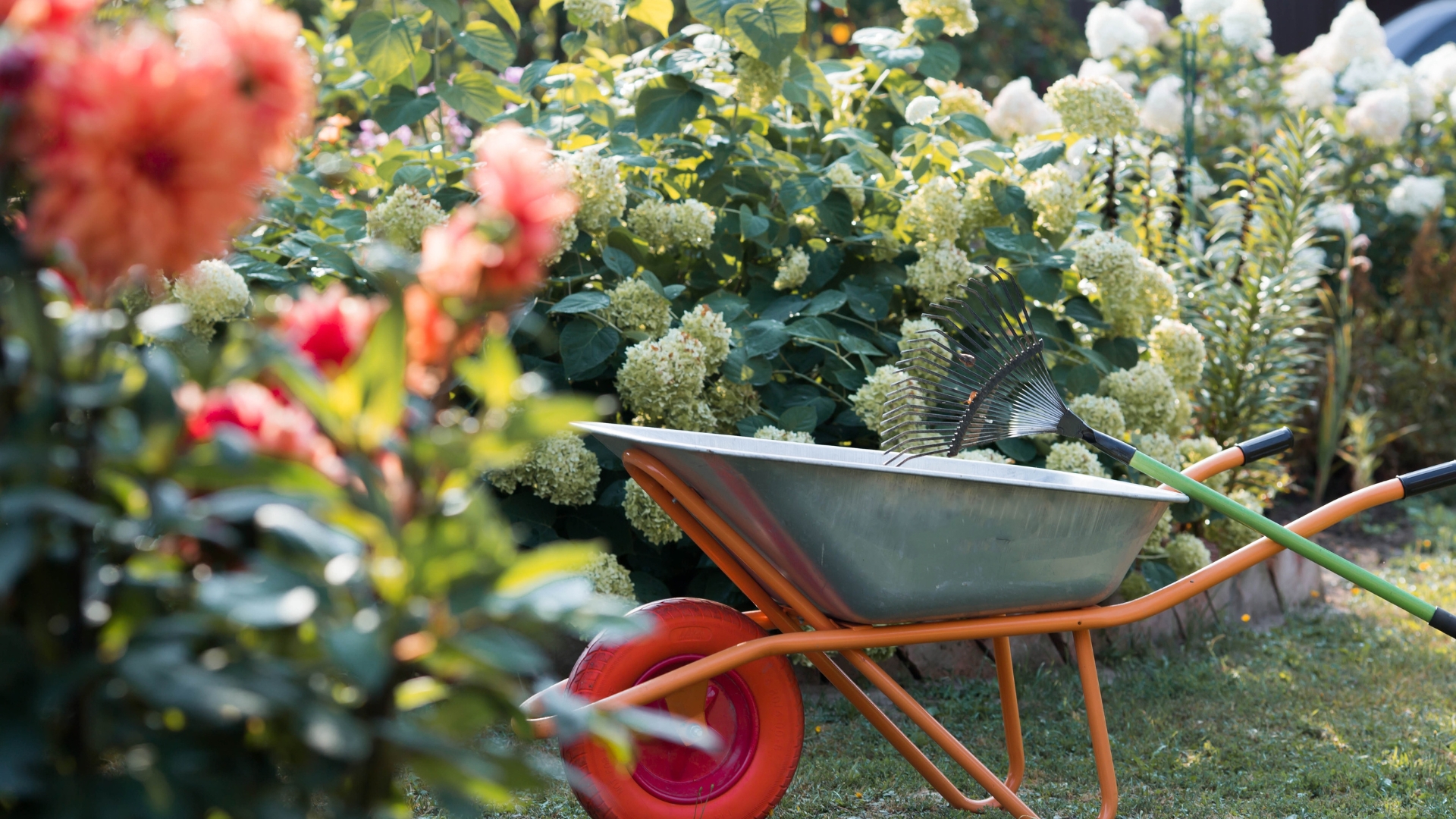What Every Georgia Gardener Should Be Doing This Week To Prep For Fall