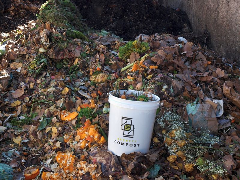 Clean Up Garden Debris