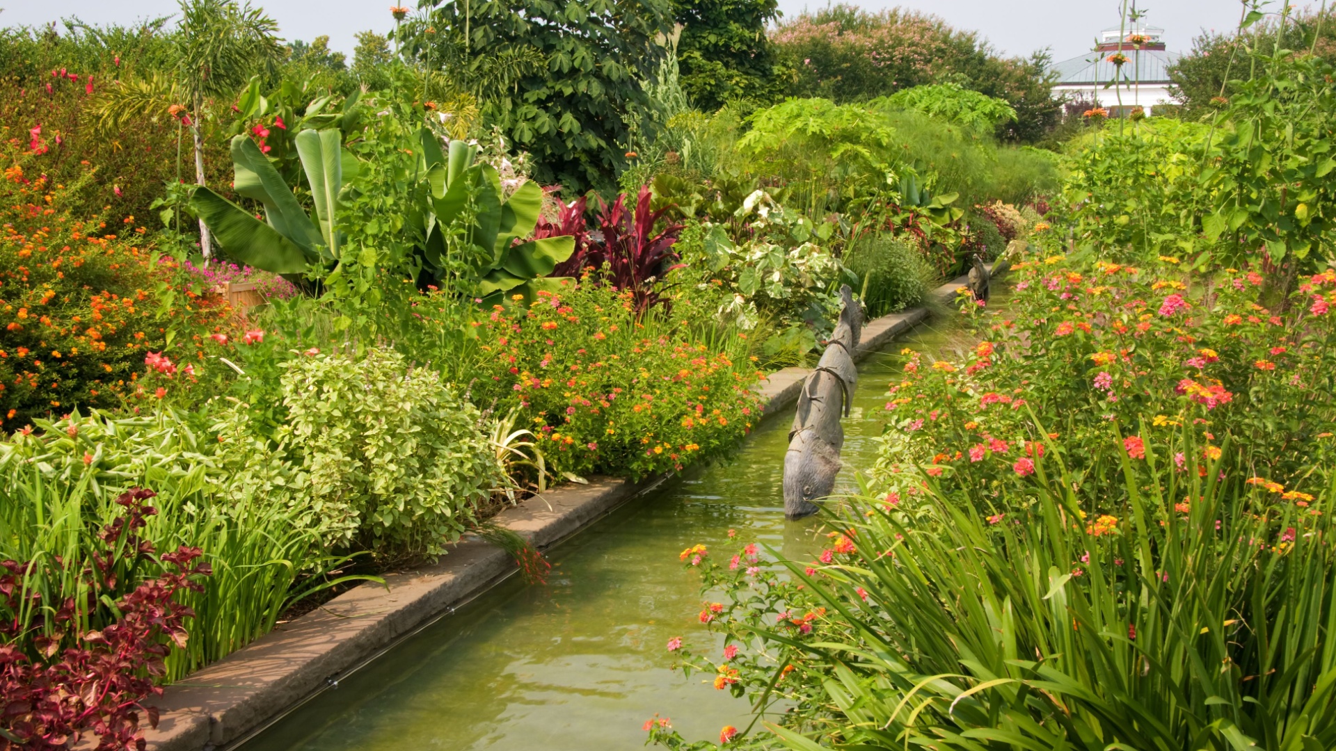 What I Learned From My Neighbor’s Perfect Garden In Charlotte