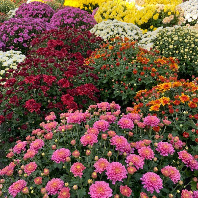 Spring Planting Window