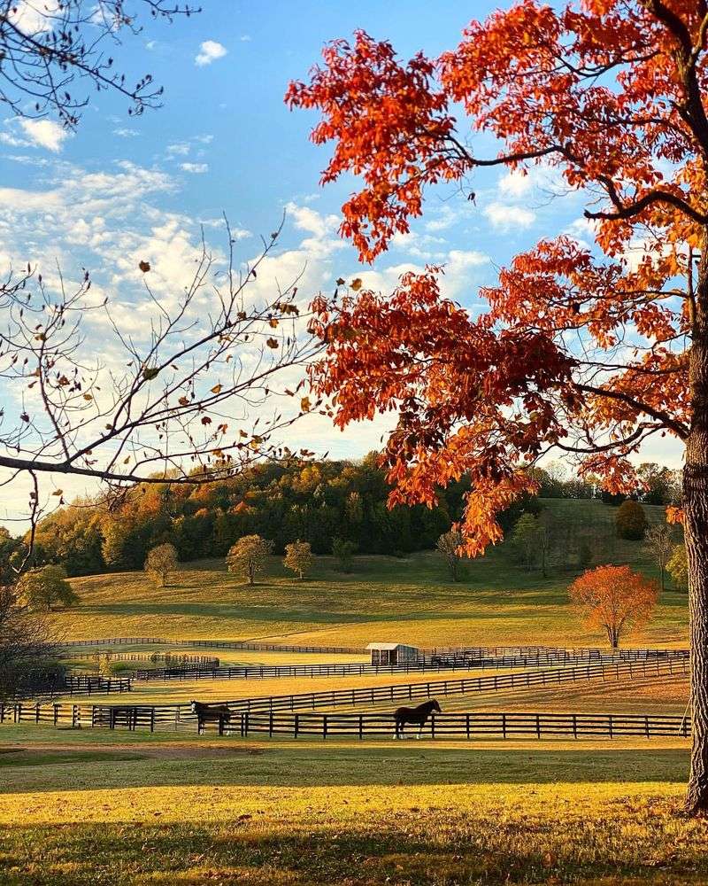 Meadowbrook Haven