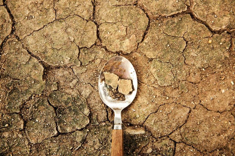 Summer Heat Has Depleted Nutrients