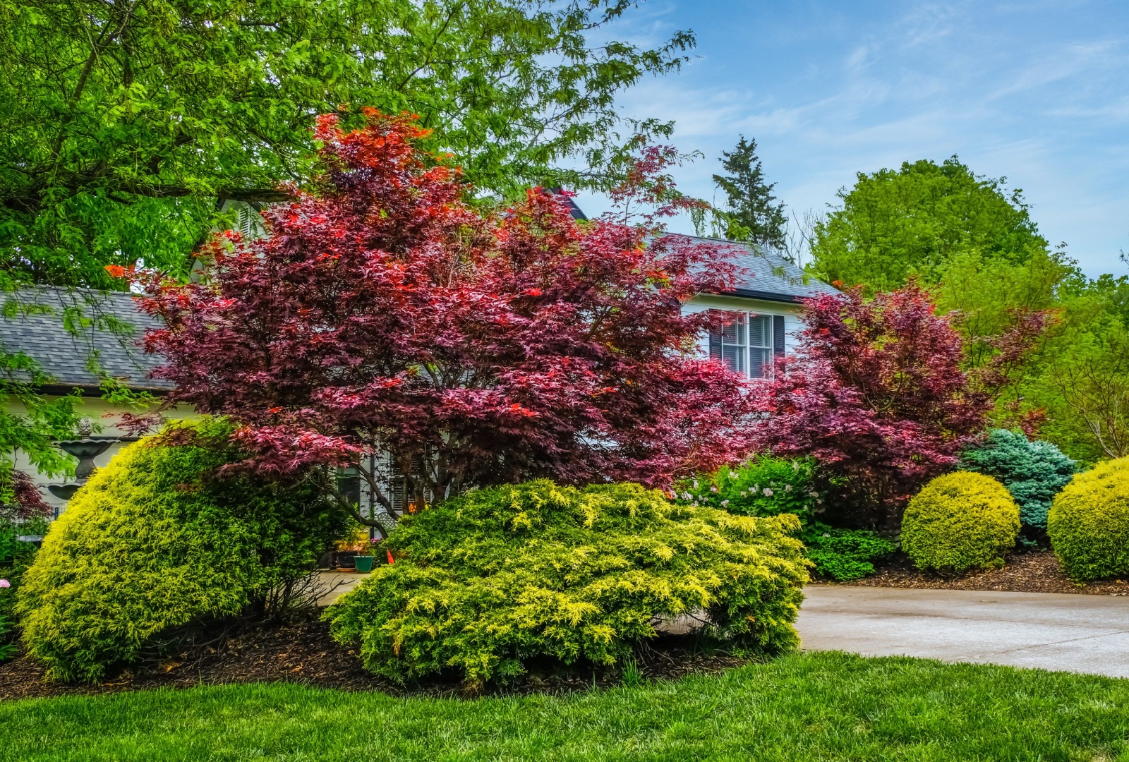 Why Nashville Homes Might Add Rain Garden Features Under Maples To Harvest Fall Showers