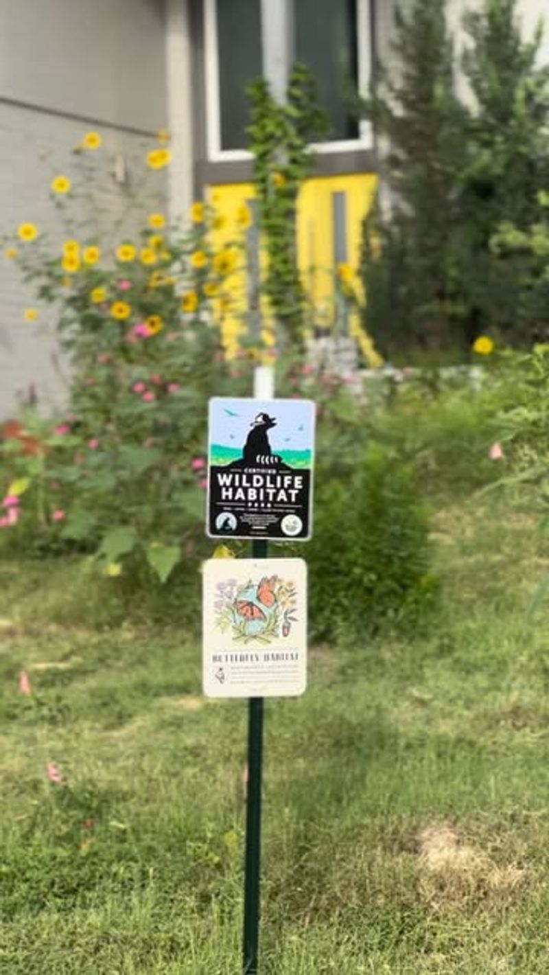 Wildlife Habitat Creation