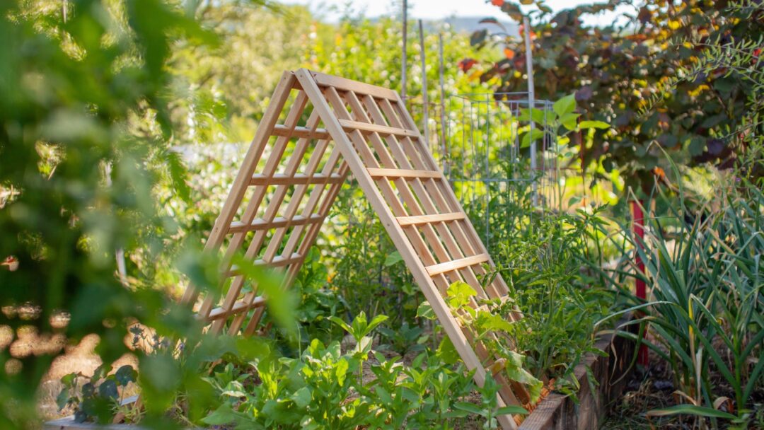 Why Raised Bed Gardeners In Michigan Are Ditching Traditional Layouts