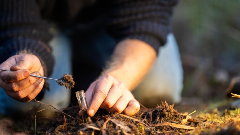 gardener takes a sample of soil for testing