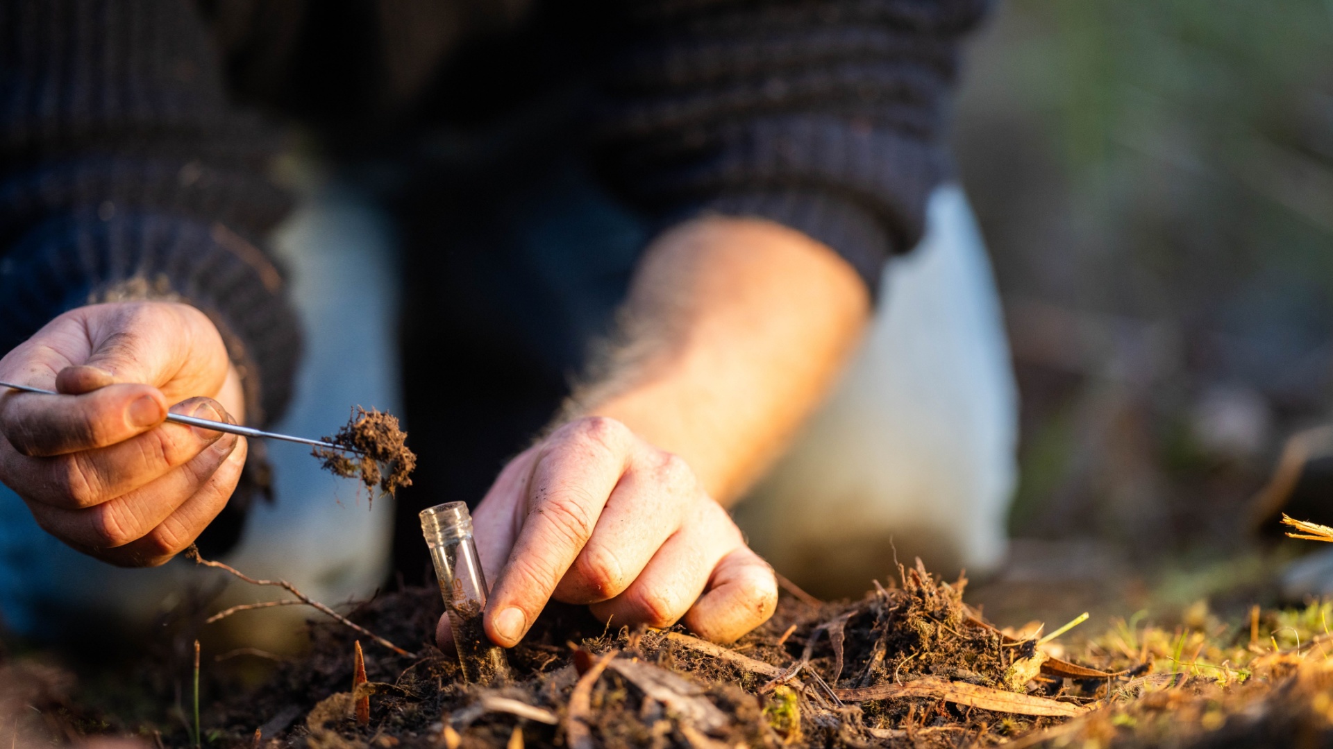 Why Soil Testing Is The Most Overlooked Step Before Fall Planting In Illinois