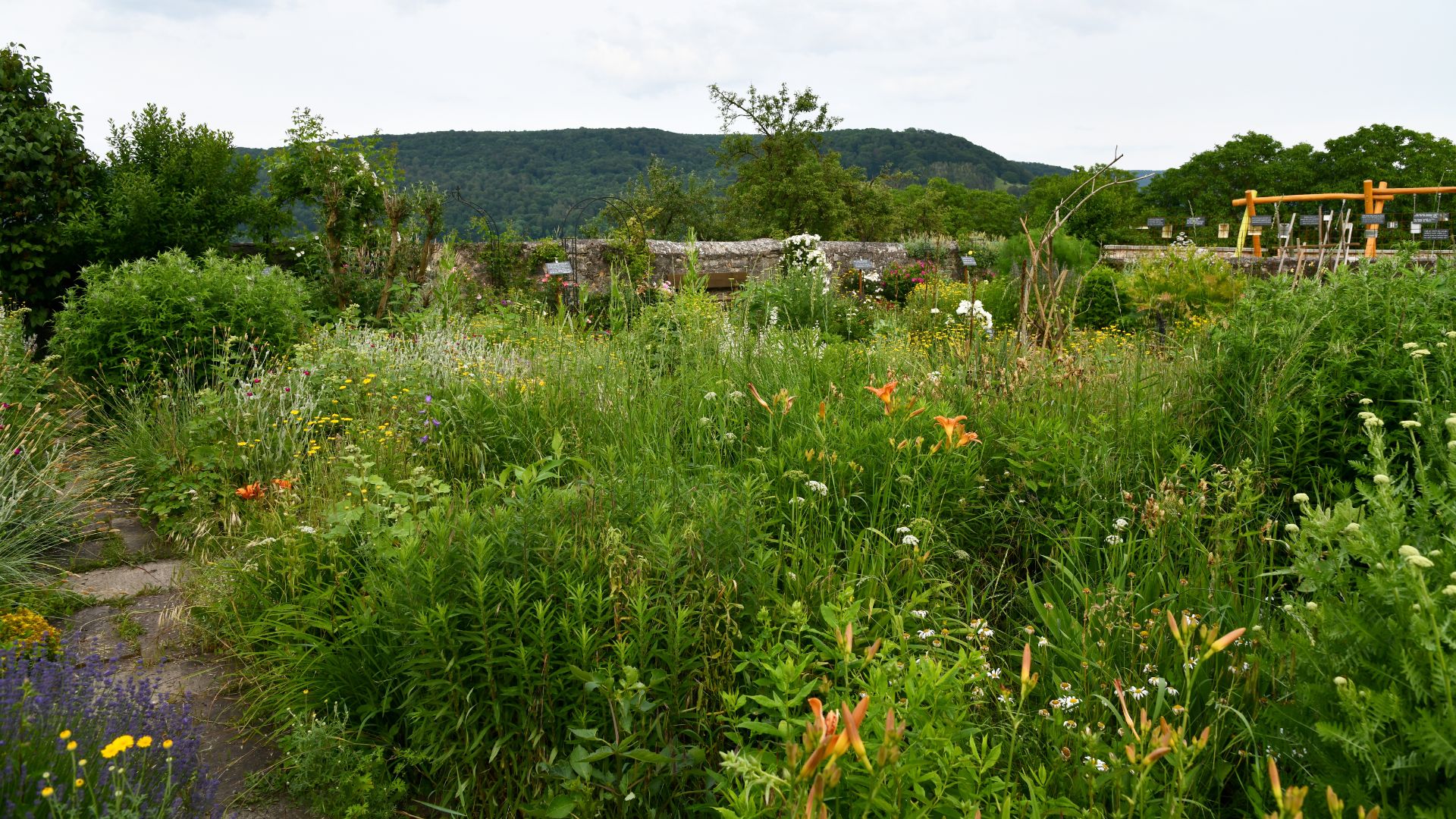 Why Some Gardeners Use Chaos Gardening In Oregon