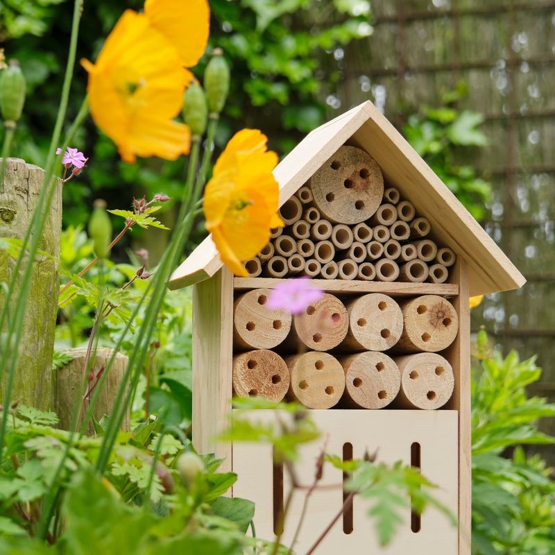 Bee Nesting Sites