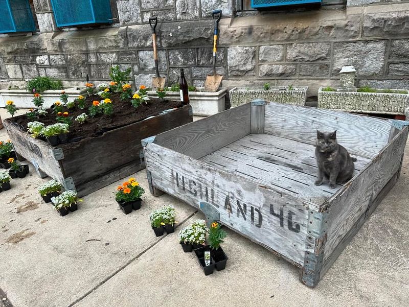 Ottoman Raised Bed