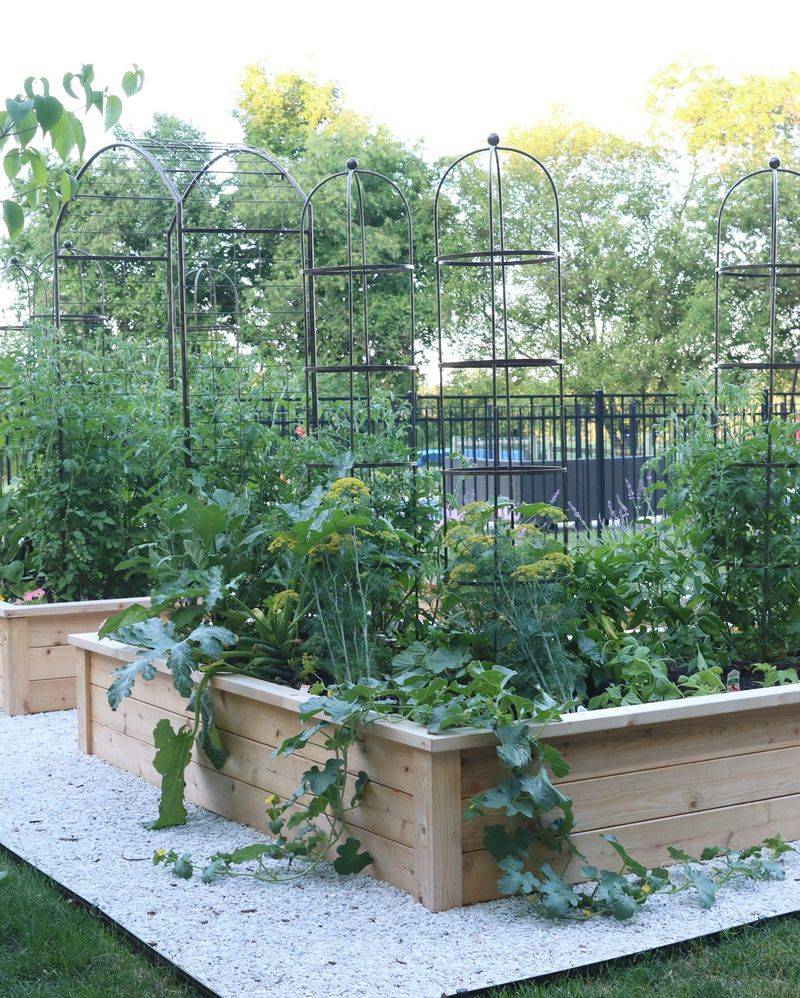 Vertical Integration Doubles Harvests