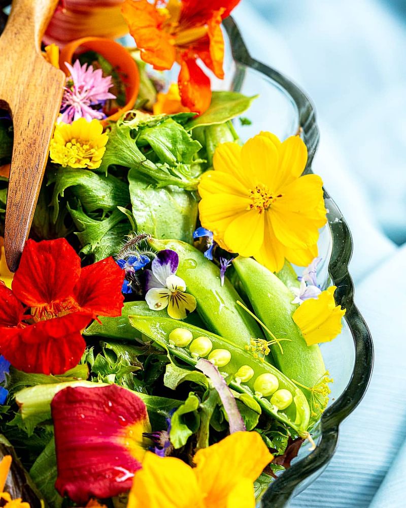 Edible Flower Head Start