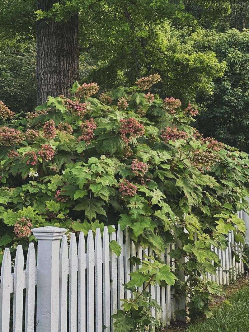 Seasonal Color Changes Enhance Curb Appeal