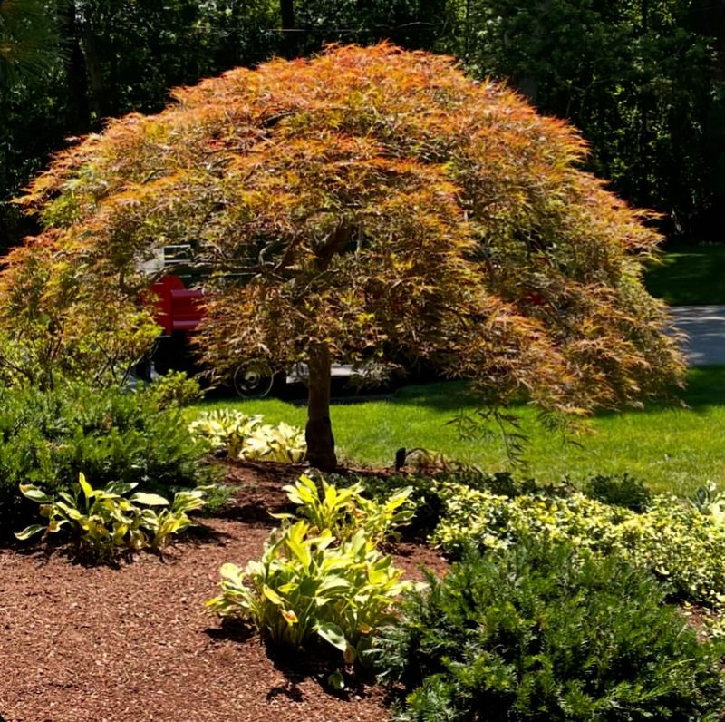 Increased Property Values With Eco-Friendly Landscaping