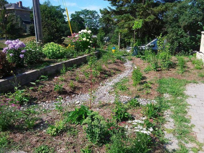 Community Flood Prevention Networks