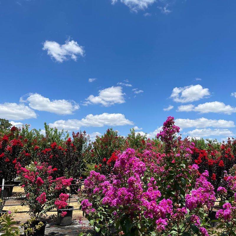 Marble Falls Maintains Main Street Magic
