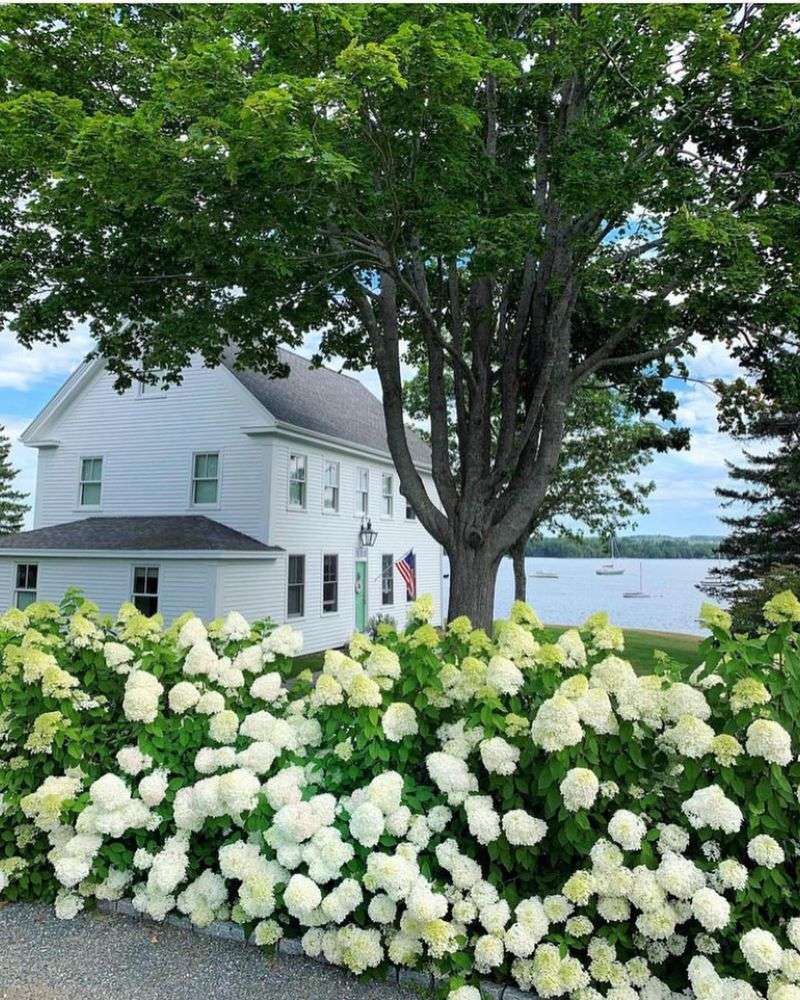 Fall Fertilization Promotes Better Spring Blooms