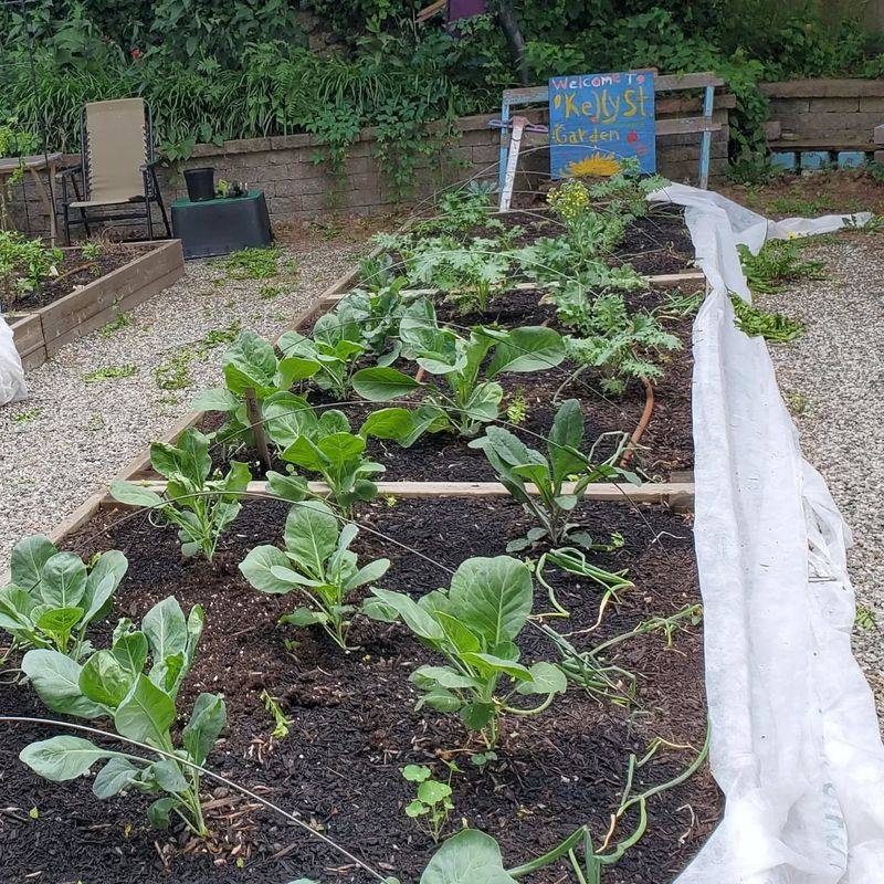 Community Garden Innovations