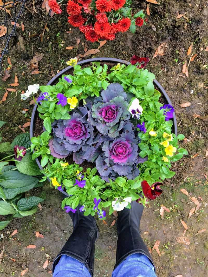 Companion Planting