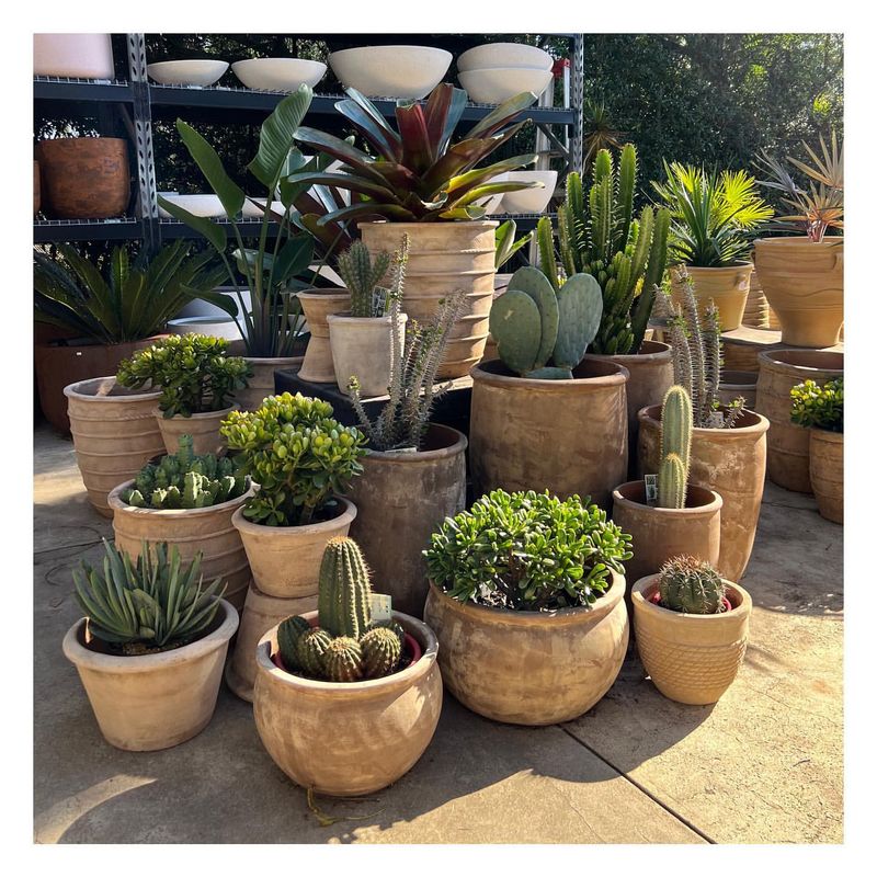 Rustic Pottery Collection