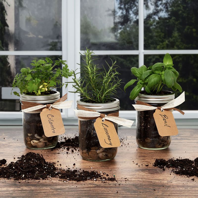 Hanging Mason Jar Systems