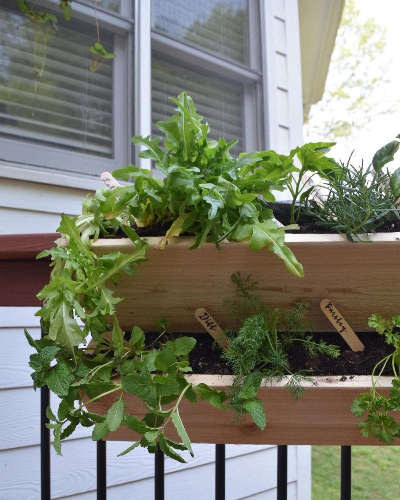 Hanging Gutter Planters